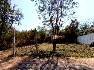 ที่ดินว่างเปล่า 217.6 ตร.วา หัวหิน ไฮแลนด์ ซีวิว หัวหิน ประจวบคีรีขันธ์ 3.6M