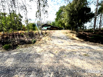 Houses for sale : HOME 3759 Sq.w. Phimai Nakhon Ratchasima for 1.4M