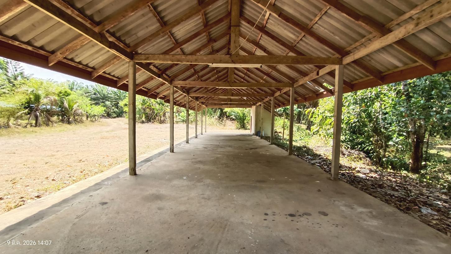 รูป บ้านเดี่ยว 1466.5 ตร.วา ลำทับ กระบี่ 7.7M - รูปที่ 53/57
