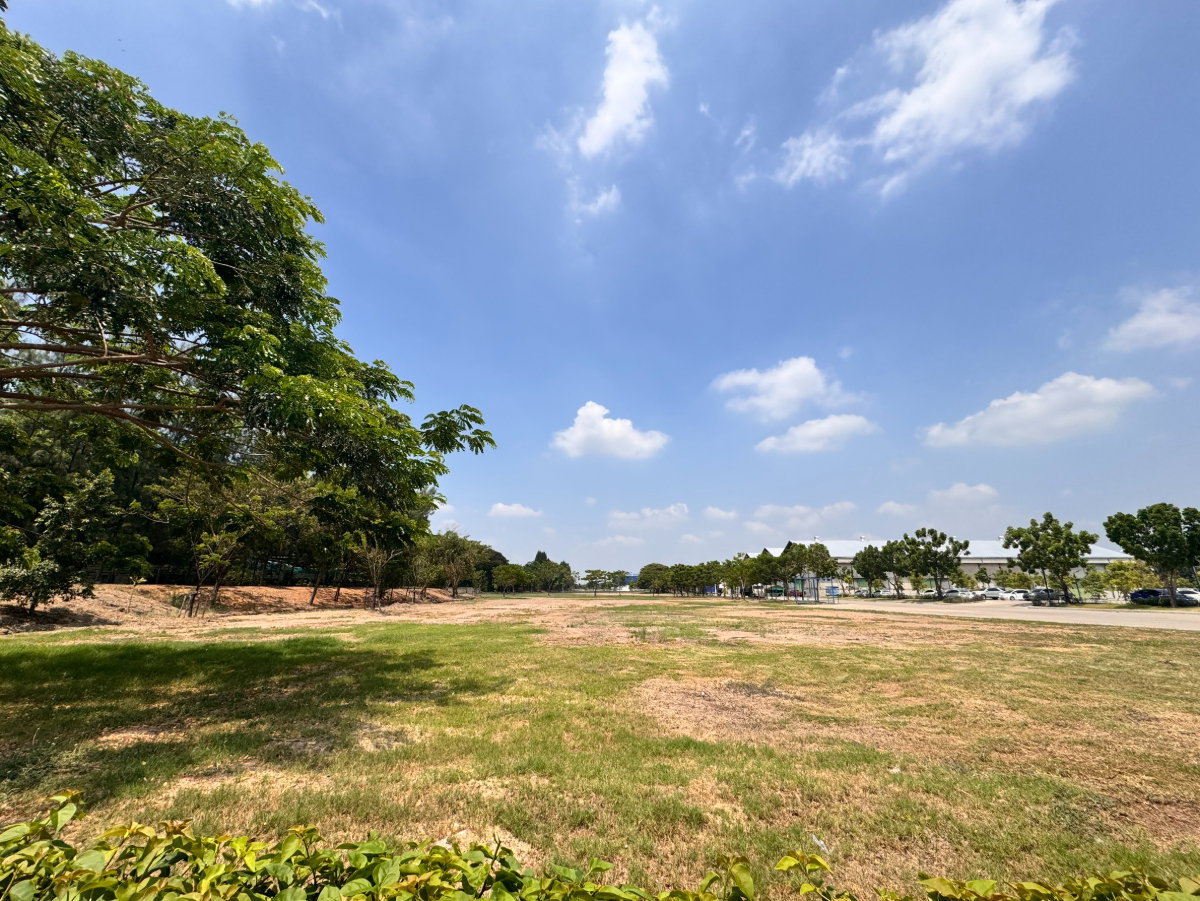 picture Land for rent, 12 rai, near the Chao Phraya River, Pathum Thani  - 3/4