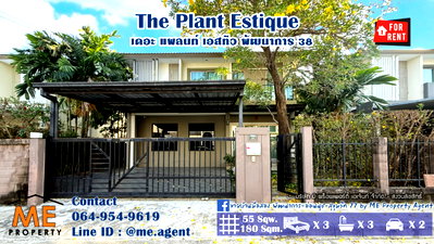 บ้านเดี่ยวให้เช่า : ให้เช่า บ้านเดี่ยว เดอะ แพลนท์ เอสทีจ พัฒนาการ 38 ตกแต่งสวย พร้อมเข้าอยู่ ใกล้ เอกมัย - ทองหล่อ - สุขุมวิท โทร 064-954-9619 (RBE26-55)