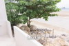 listing thumbnail image 30