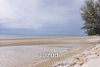 listing thumbnail image 32