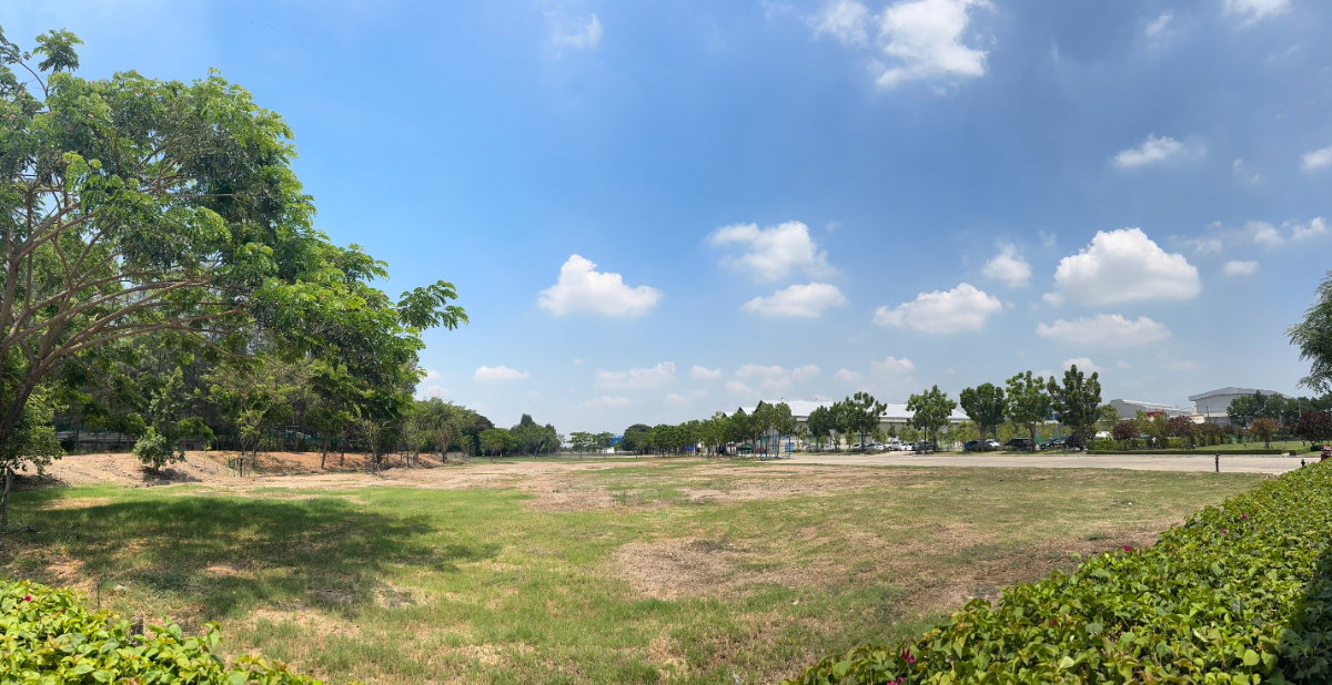 picture Land for rent, 12 rai, near the Chao Phraya River, Pathum Thani  - 4/4