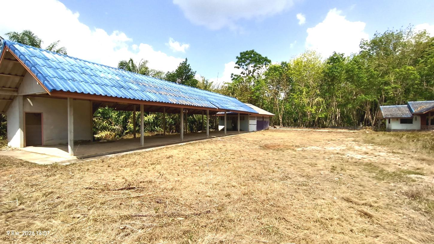 รูป บ้านเดี่ยว 1466.5 ตร.วา ลำทับ กระบี่ 7.7M - รูปที่ 33/57
