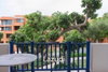 listing thumbnail image 21