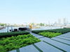 listing thumbnail image 39