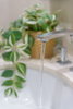 listing thumbnail image 42