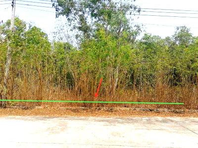 Land for sale Bang Sai Phra Nakhon Sri Ayutthaya : LAND 800 Sq.w. Bang Sai Phra Nakhon Sri Ayutthaya for 4.4M