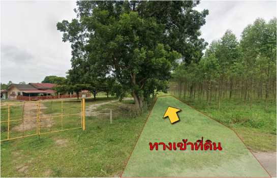 รูป ขายที่ดิน ฉะเชิงเทรา 64-1-20.4 ไร่ ต.เขาหินซ้อน อ.พนมสารคาม - รูปที่ 4/5