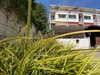 listing thumbnail image 25