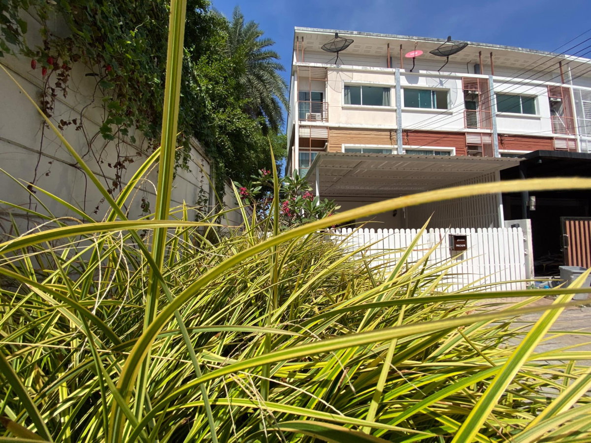 รูป UV01760 - Villette City  Pattanakarn : BTS Phra Khanong - รูปที่ 26/52