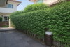 listing thumbnail image 19