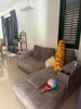 listing thumbnail image 4