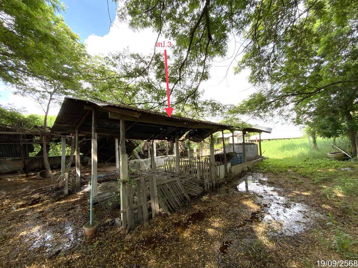 รูป ฟาร์ม 3345 ตร.วา ท่าวุ้ง ลพบุรี 9.3M - รูปที่ 37/51