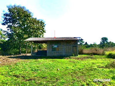 บ้านเดี่ยว พาน เชียงราย : บ้านเดี่ยว 5773 ตร.วา พาน เชียงราย 3.7M