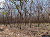 listing thumbnail image 20