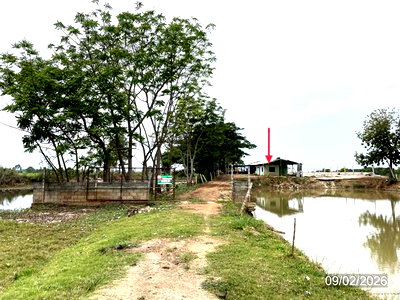 ขายที่ดิน : ฟาร์ม 6259 ตร.วา เมืองพิจิตร พิจิตร 1.1M