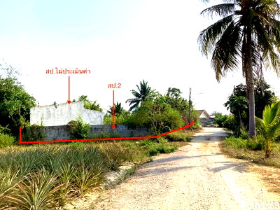บ้านเดี่ยว ปราณบุรี ประจวบคีรีขันธ์ : บ้านเดี่ยว 263 ตร.วา ปราณบุรี ประจวบคีรีขันธ์ 829,000