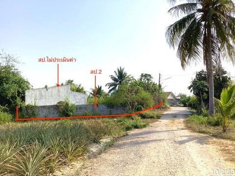 บ้านเดี่ยว 263 ตร.วา ปราณบุรี ประจวบคีรีขันธ์ 829,000
