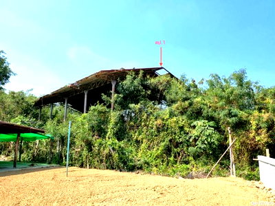 ขายโรงงาน : เพิงอเนกประสงค์ 1213.8 ตร.วา เมืองนครปฐม นครปฐม 4.5M