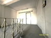 listing thumbnail image 36