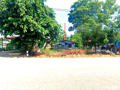 Houses for sale Buang Sam Phan Phetchabun : HOME 286 Sq.w. Buang Sam Phan Phetchabun for 1M