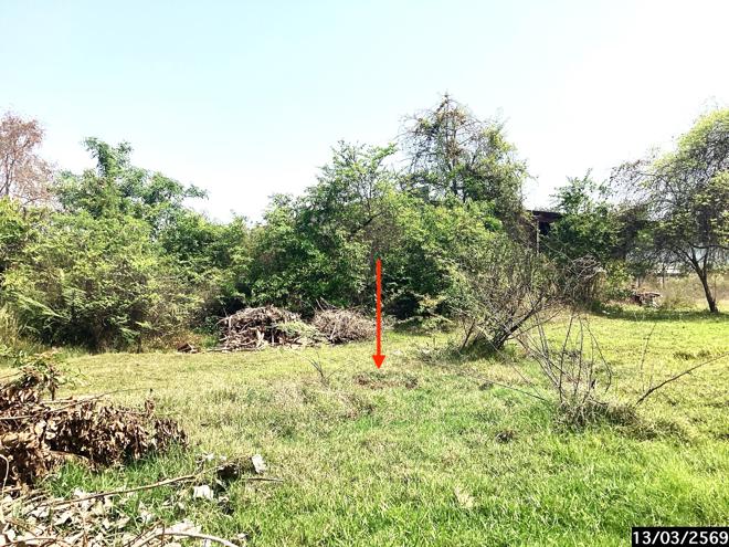 รูป ที่ดินว่างเปล่า 2817.4 ตร.วา เมืองสกลนคร สกลนคร 28.9M - รูปที่ 6/21