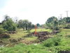 listing thumbnail image 6