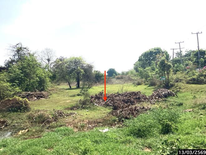 รูป ที่ดินว่างเปล่า 2817.4 ตร.วา เมืองสกลนคร สกลนคร 28.9M - รูปที่ 7/21