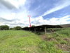 listing thumbnail image 38