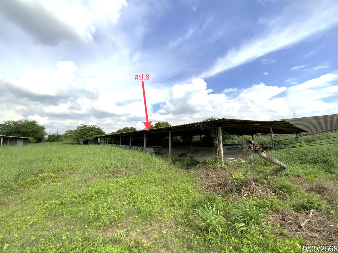 รูป ฟาร์ม 3345 ตร.วา ท่าวุ้ง ลพบุรี 9.3M - รูปที่ 39/51