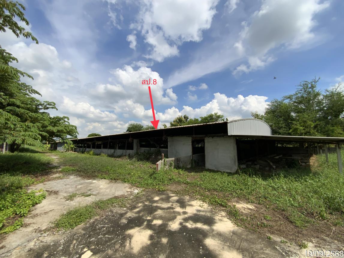 รูป ฟาร์ม 3345 ตร.วา ท่าวุ้ง ลพบุรี 9.3M - รูปที่ 42/51