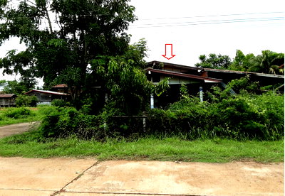 ขายที่ดิน : ที่ดินพร้อมสิ่งปลูกสร้าง 148.3 ตร.วา อำเภอเจริญศิลป์ จังหวัดสกลนคร 925,000