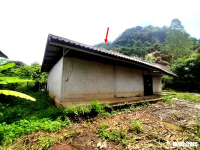 บ้านเดี่ยว วังสะพุง เลย : บ้านเดี่ยว 336 ตร.วา วังสะพุง เลย 928,000