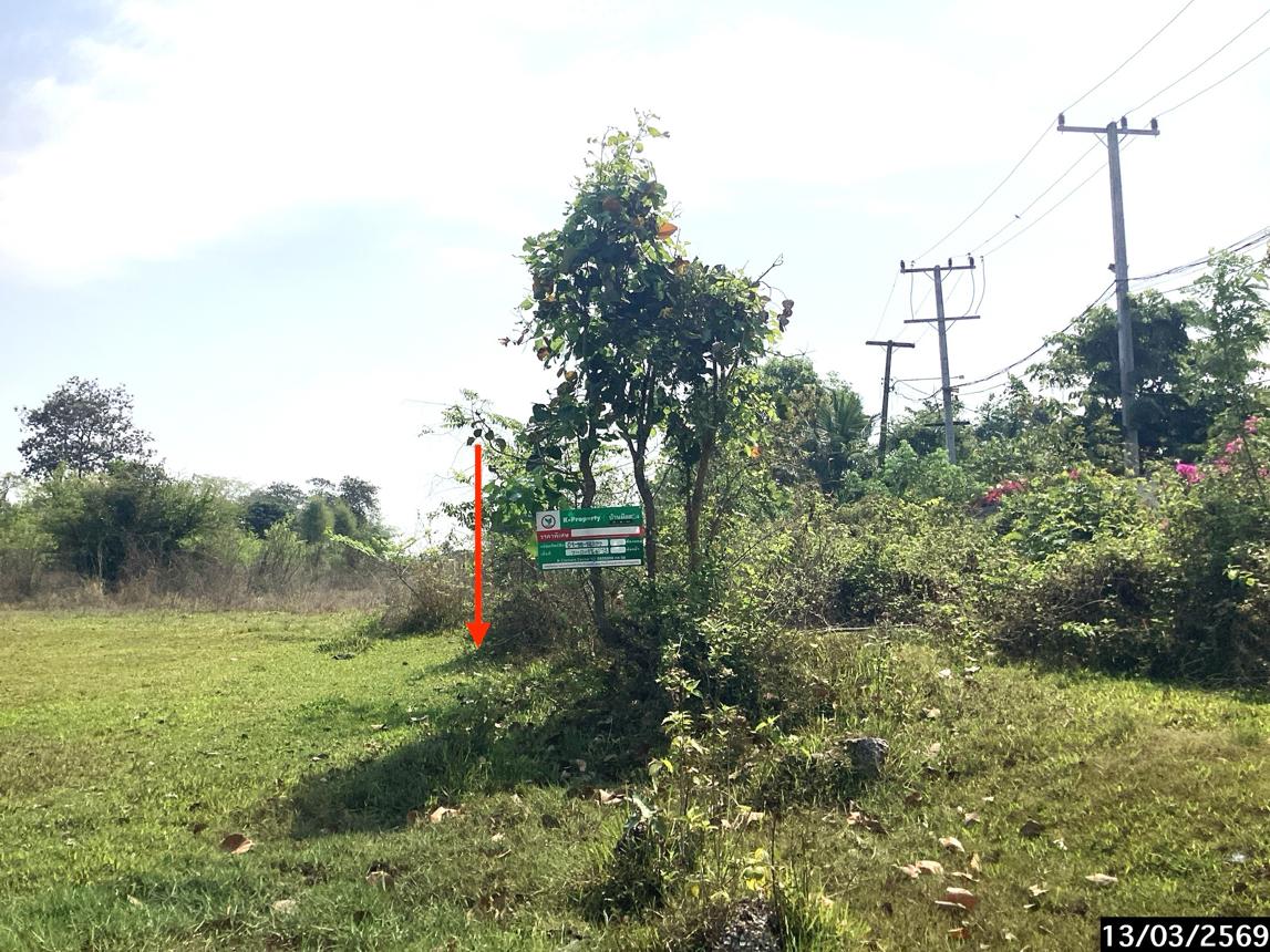 รูป ที่ดินว่างเปล่า 2817.4 ตร.วา เมืองสกลนคร สกลนคร 28.9M - รูปที่ 13/21