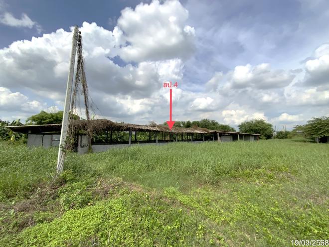 รูป ฟาร์ม 3345 ตร.วา ท่าวุ้ง ลพบุรี 9.3M - รูปที่ 2/51