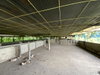 listing thumbnail image 42