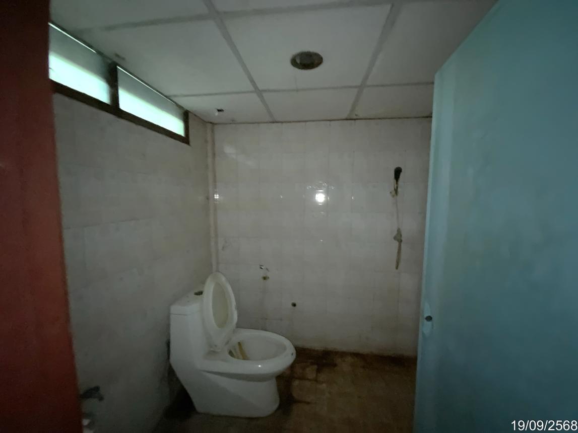 รูป ฟาร์ม 3345 ตร.วา ท่าวุ้ง ลพบุรี 9.3M - รูปที่ 32/51