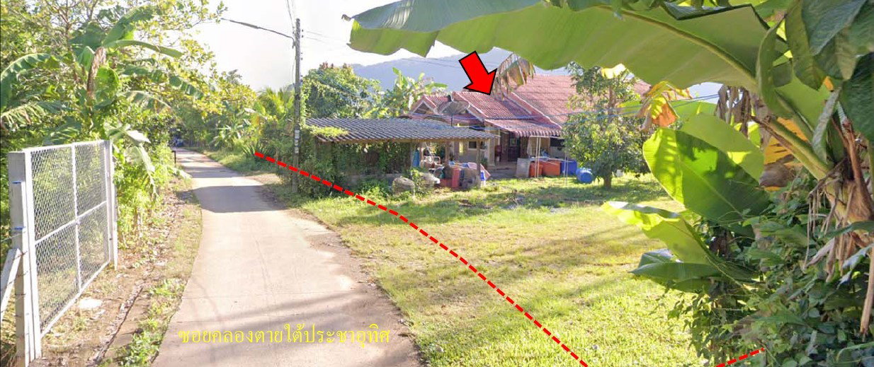 รูป ที่ดินพร้อมสิ่งปลูกสร้าง 260.3 ตร.วา อำเภอเมืองสตูล จังหวัดสตูล 1.3M - รูปที่ 4/7