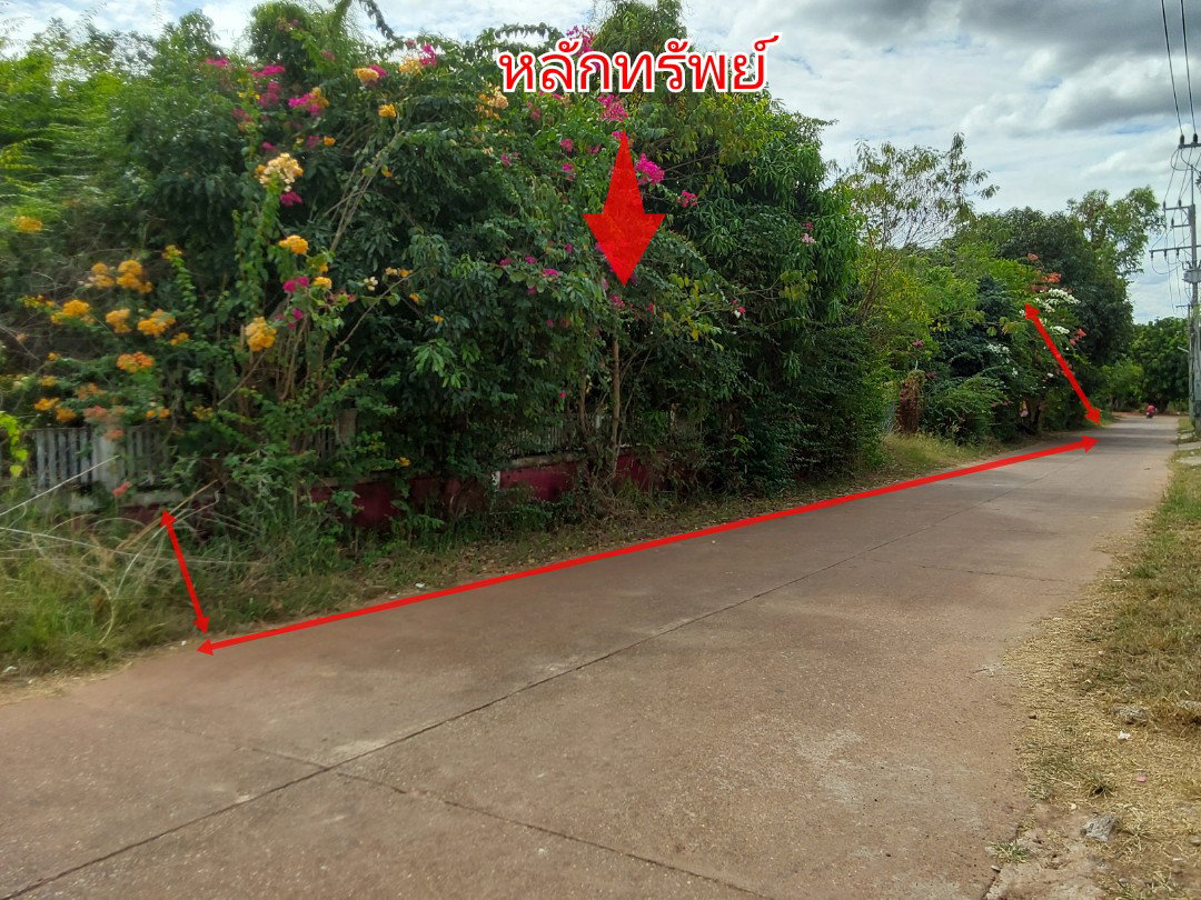 รูป ที่ดินพร้อมสิ่งปลูกสร้าง 345 ตร.วา ไม่มี อำเภอศรีวิไล จังหวัดบึงกาฬ 2.5M - รูปที่ 2/4