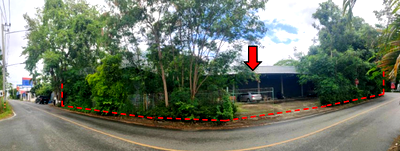 Land for sale Chiang Mai : LAND 233 Sq.w. San Pa Tong Chiang Mai Price on request