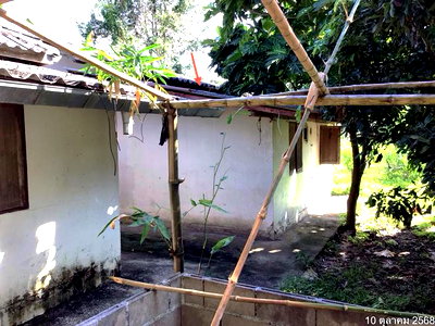 Houses for sale Chiang Rai : HOME 1597 Sq.w. Mae Chan Chiang Rai for 3.4M