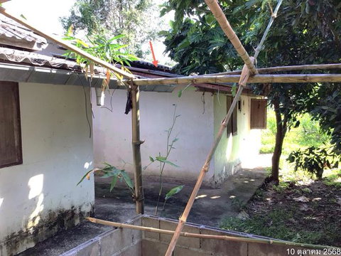 HOME 1597 Sq.w. Mae Chan Chiang Rai for 3.4M