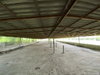listing thumbnail image 39