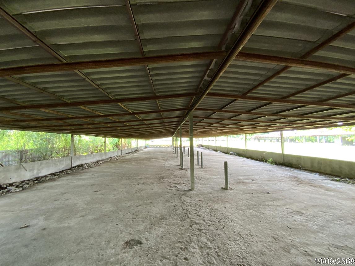 รูป ฟาร์ม 3345 ตร.วา ท่าวุ้ง ลพบุรี 9.3M - รูปที่ 40/51