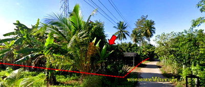 Land for sale Satun : LAND 260.3 Sq.w. Muang Satun Satun for 1.3M