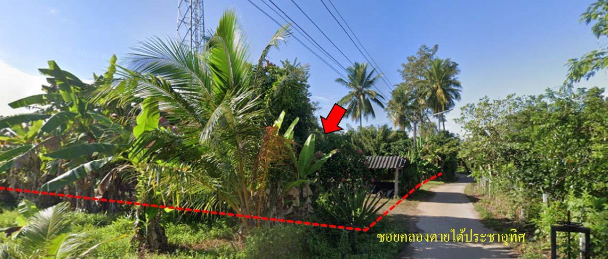 รูป ที่ดินพร้อมสิ่งปลูกสร้าง 260.3 ตร.วา อำเภอเมืองสตูล จังหวัดสตูล 1.3M - รูปที่ 1/7
