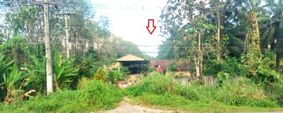 ขายที่ดิน : ที่ดินพร้อมสิ่งปลูกสร้าง 1446.8 ตร.วา อำเภออ่าวลึก จังหวัดกระบี่ 6.2M