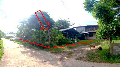 ขายที่ดิน : ที่ดินพร้อมสิ่งปลูกสร้าง 51 ตร.วา อำเภอเมืองอำนาจเจริญ จังหวัดอำนาจเจริญ 209,000